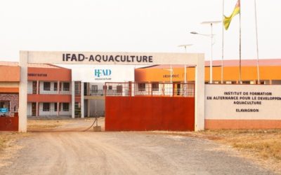 L’IFAD-Aquaculture annonce le recrutement d’une nouvelle vague d’apprenants