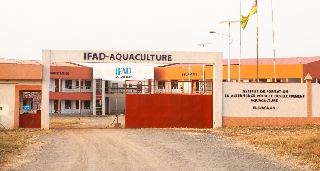 L’IFAD-Aquaculture annonce le recrutement d’une nouvelle vague d’apprenants