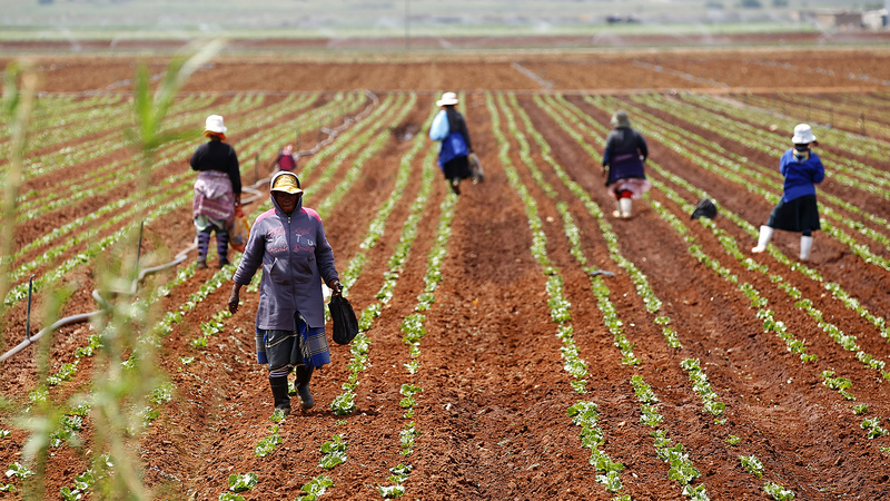 Promouvoir le développement rural et l’agriculture au Togo