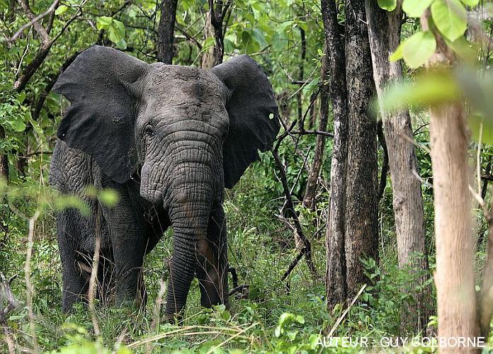 parc national du togo