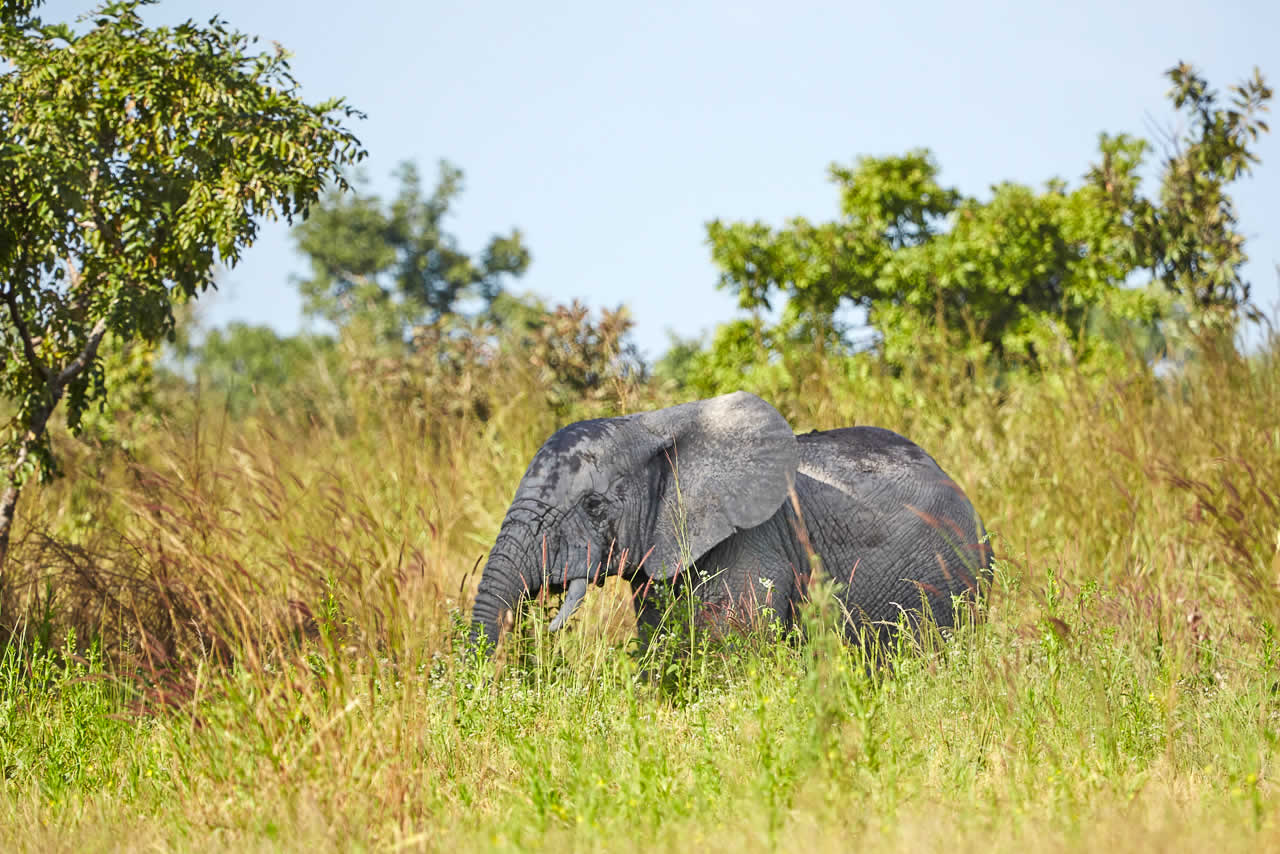 parc national du togo