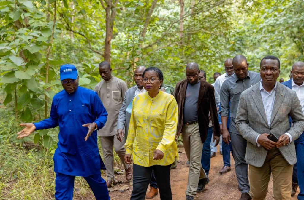 Forêt classée de Lilikopé : le Premier ministre sur le site